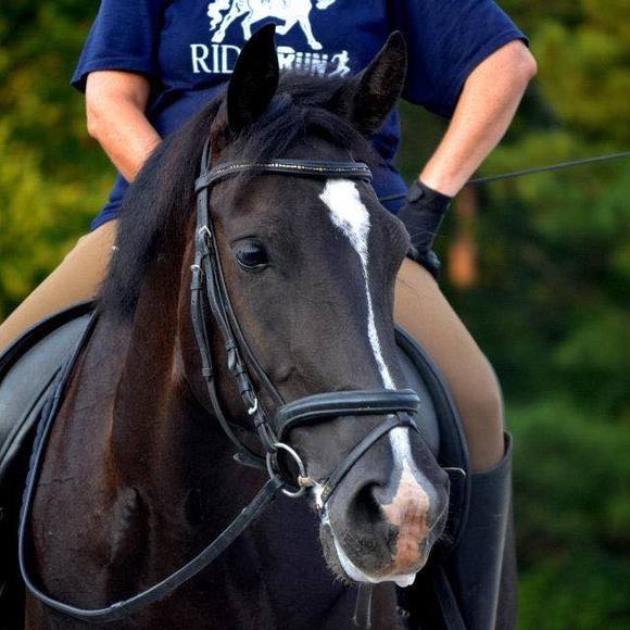 Meet your Posher, Lynn - Picture 2 of 2